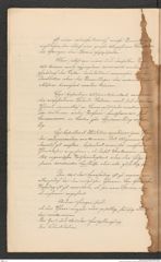 Nachlass Franz Steindachner, Prospect der Adria-Commission (Mai 1874), Inv.Nr. 4.01, Seite 16